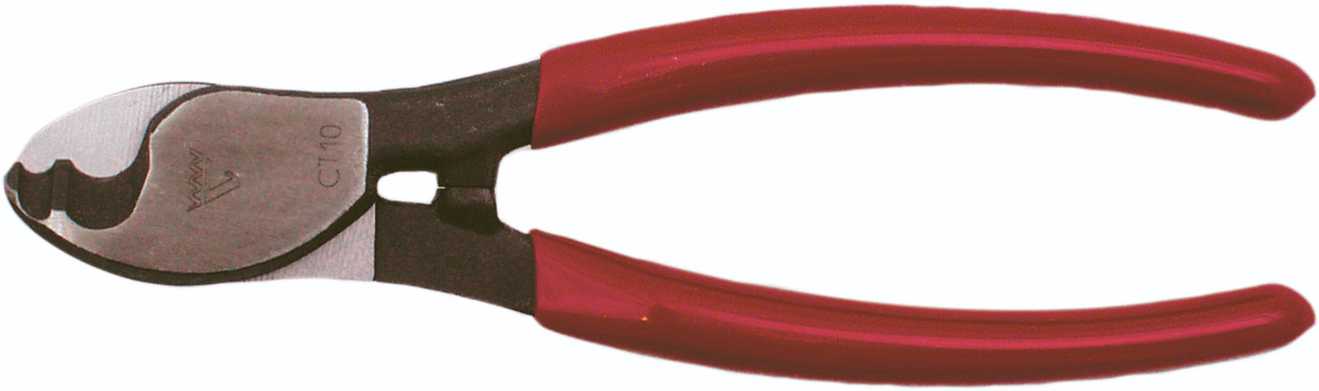 CT10