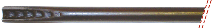 FSHD23
