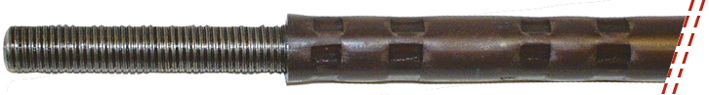 FSHD31
